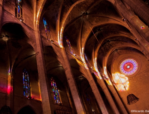 Postales Palmenses: un ocho de luz